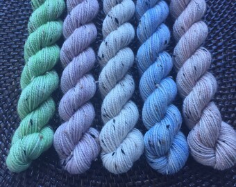 Tweedy Tonal Mini Skein Set: 5 x 20g