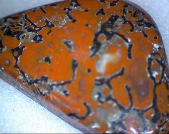 Neat Red Dinosaur Bone Freeform Cabochon