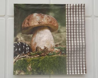 set of 2 napkins papierSERVIETTE CEPE DE BORDEAUX