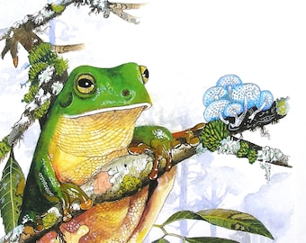 Greeting Card - Green Tree Frog - Front view on mossy branch