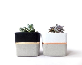 Square Concrete Small Planter for Succulent Grey White Black Industrial modern beton Home Decor