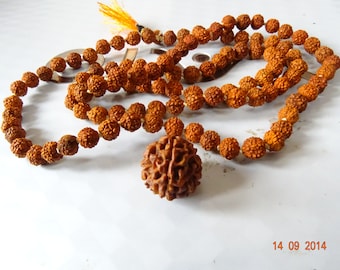 ENERGIZED 110% Original Round Rare One Ek Face 1 Mukhi Rudraksha JAVA Bead #001