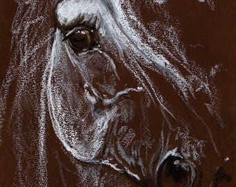 grey horse portrait, equine art, arabian horse, Original oil pastel drawing