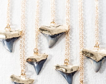 Bottled Black Shark Tooth Necklace - Hawaiian Jewelry,Message Jewelry,BFF gift,sister gift,best friend gift,hawaii bridesmaid gift, hawaii