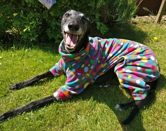 Greyhound & Whippet Pyjamas Beautiful Hallucination