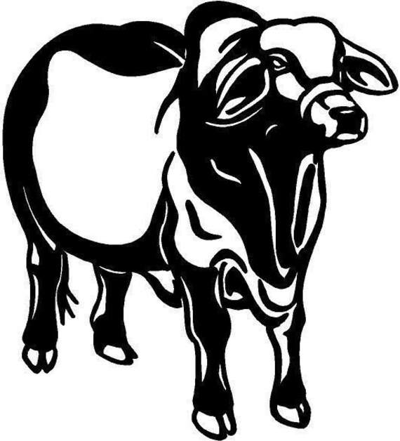 Brahman Bull Die-Cut Decal Car Window Wall Bumper Phone Laptop