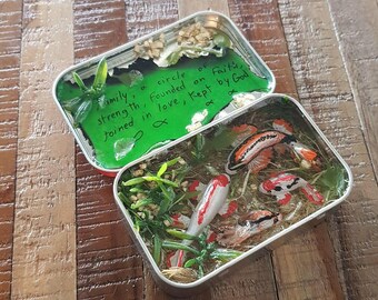 Altoids Fish Pond - Family