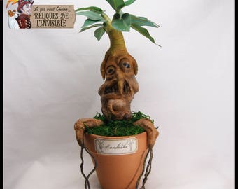 Mandrake potted mandrake root witchcraft harry potter mandragora curiosity cabinet