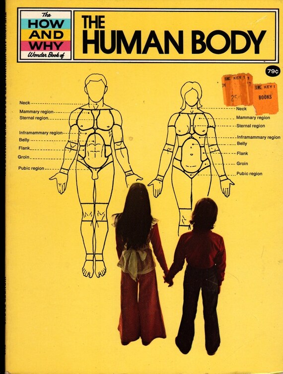 The How and Why Wonder Book of The Human Body + Martin Keen + Darrell Sweet + 1976 + Vintage Kids Science Book