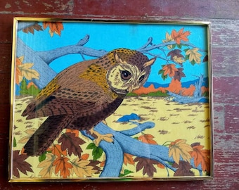 Vintage framed owl original pen and ink drawing, art, bird of prey wall decor