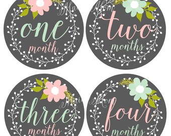 on sale baby girl monthly stickers baby month stickers