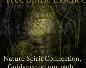 Hazel Tree Spirit Essence