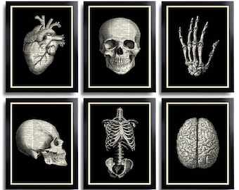 Anatomical Poster Set Anatomy Print Set of 6 Medical Wall Art Skull Art Prints Gifts for Boyfriend Set of Posters Vintage Anatomy Skull 110