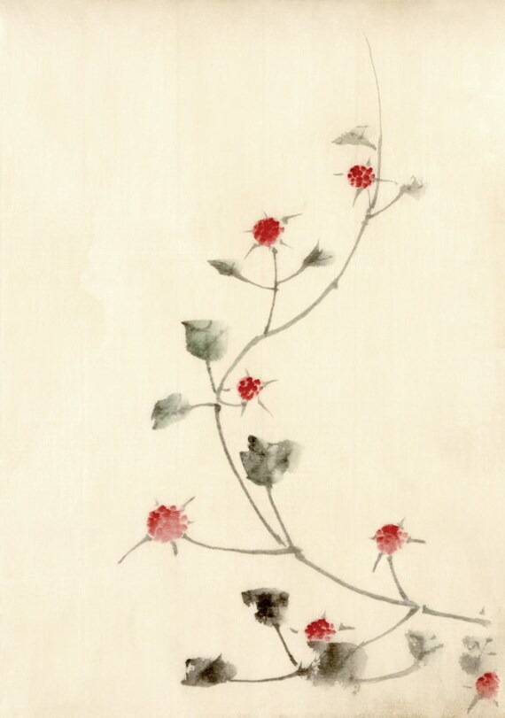 japanse tekeningen bloemen japanse kunst hokusai bloem tekeningen rode bloesems op een japanse tekeningen bloemen japanse kunst hokusai bloem tekeningen rode bloesems op een