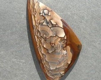 Deschutes Biggs Picture Jasper Cabochon from Oregon bdpj3