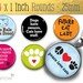 Cat Love - (1x1) One Inch (25mm) Round Pendant Image Collage - Digital Sheet - Buy 2 Get 1 Free - Instant Download - Magnets, badges, glass