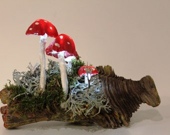 4 mushrooms amanita amanitas on horizontal strain
