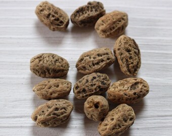 Natural seed or nut beads