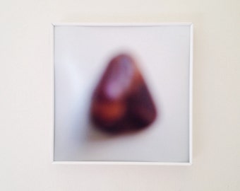abstract art / small wall art / minimalist art nature photography