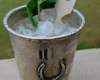 Horseshoe Drink Stirrer / Kentucky Derby Party / Western Party / Set of 25 / Cocktail Stir Stick / Coffee Stir Stick