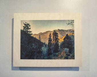 Wood Print Big Cottonwood Canyon, Utah