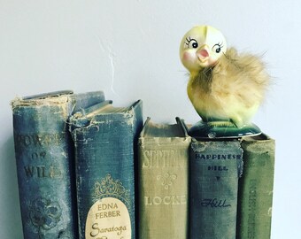 Vintage Green/ Blue shabby Instant Library Collection Decorative Books - Photo props -