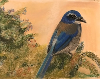 Original pastel painting, bird