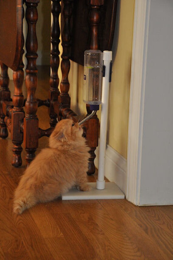 pet water bottle stand by Aquapet for longhaired Toy dogs