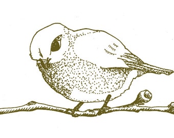 Cheerful bird illustration