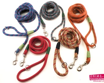 Dog leash in Climbing rope recycle