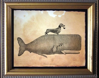 Dachshund Wiener Dog Riding Whale - Vintage Collage Art Print on Tea Stained Paper - dog art - dog gifts -- graduation gift