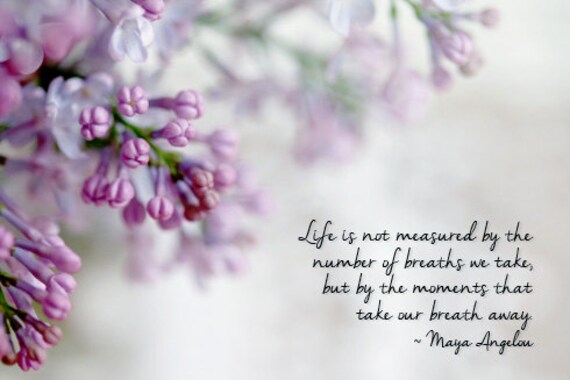 Purple Lilac Photograph Inspirational Quote Maya Angelou