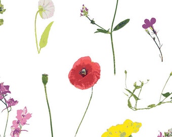 Lavish - Petal Picking Dainty - Katarina Roccella - Art Gallery Fabrics (LAH-26809)