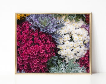 Colorful Flowers I Print. Flower Photography. Garden Home Decor. Floral Wall Art. Nature Photo. Horticulture.