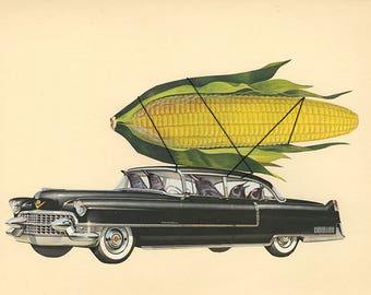 Corn consuming corvids cruising in their Cadillac. Original collage by Vivienne Strauss.