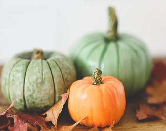 SALE! Three Playscale Miniature Heirloom Pumpkins