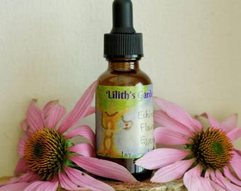 Echinace Flower Essence