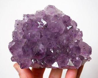 Amethyst cluster geode