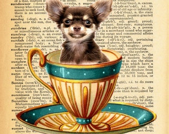 Chihuahua Pup in Teacup A4 Print