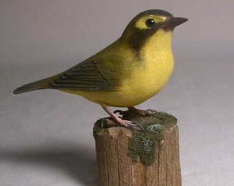 Kentucky Warbler Bird Carving Wood