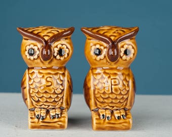 Owl Salt and Pepper Shaker Set