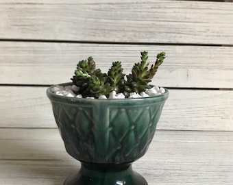 Green planter / succulent planter / small planter / vintage green planter / pottery planter / diamond design planter