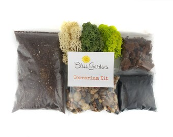 Bliss Gardens DIY Succulent / Cactus Terrarium Kit (Small)