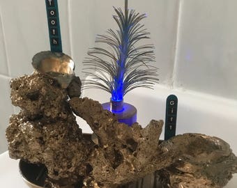 Tooth fairy house with multi colored night light, one of a kind, made with real coral, free shipping.