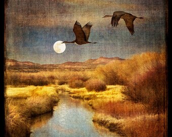 Buy any 12x12 and get one 8x8 free (Moonrise over the Bosque shown)