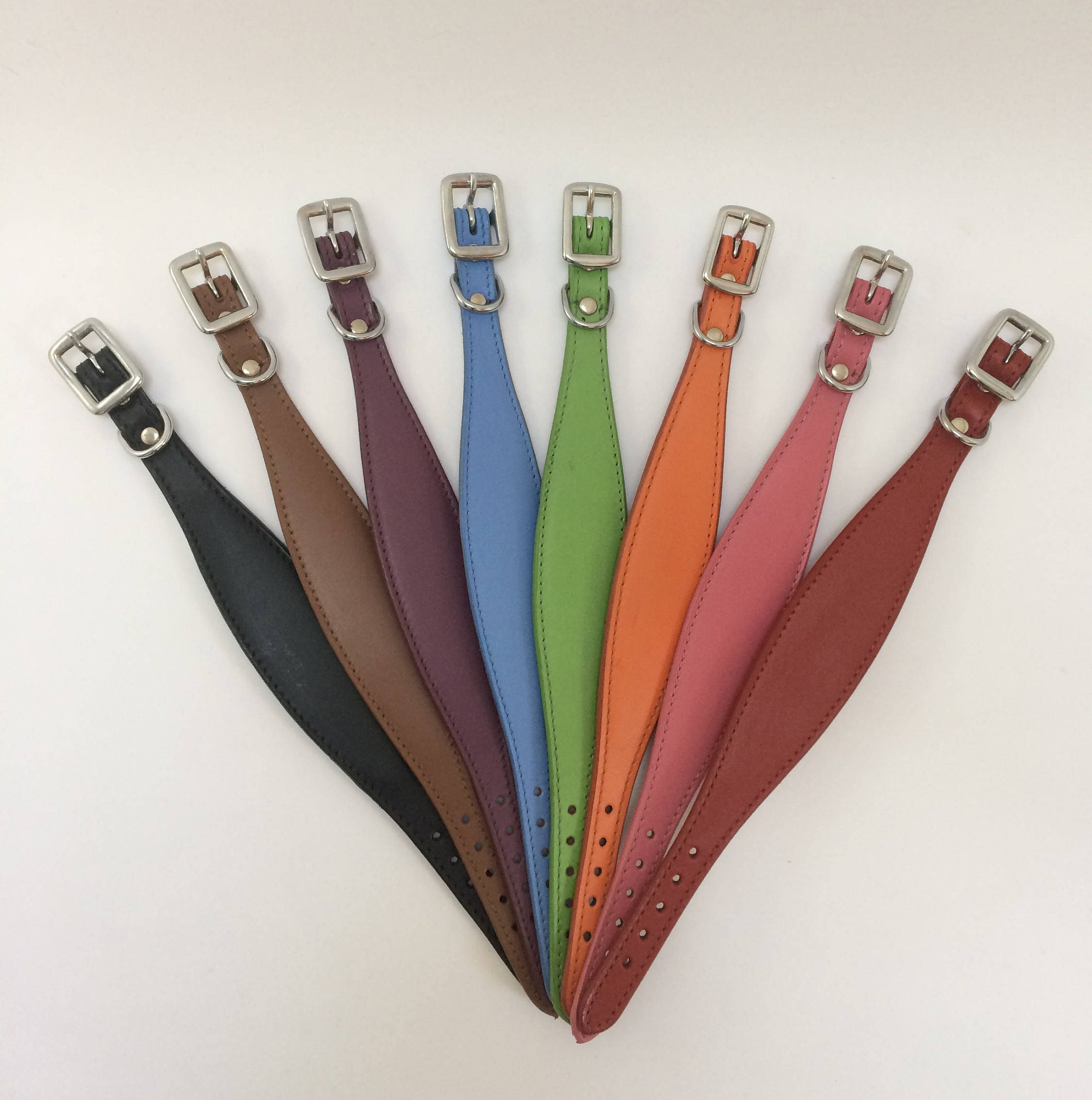 Dog Collars Wide In Front Narrow In Back Dog Collars Wide In Front Narrow In Back
