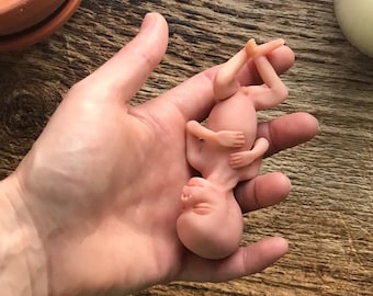 Ooak, 12 week, gestation, baby Memorial/Honor Sculpture - READY TO SHIP