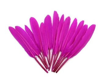 Indian dyed fuchsia feathers