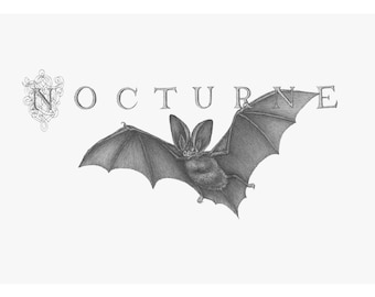 5.5" x 9" Limited Edition Giclee Print of Original Illustration of "Nocturne"