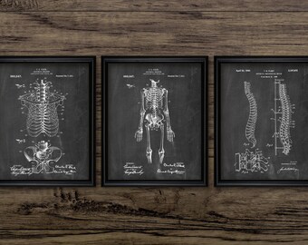 Human Skeleton Anatomy Print Set Of 3 - Anatomy - Medical Student - Doctor - Medical Education - Set Of Three Prints #2086 -INSTANT DOWNLOAD
